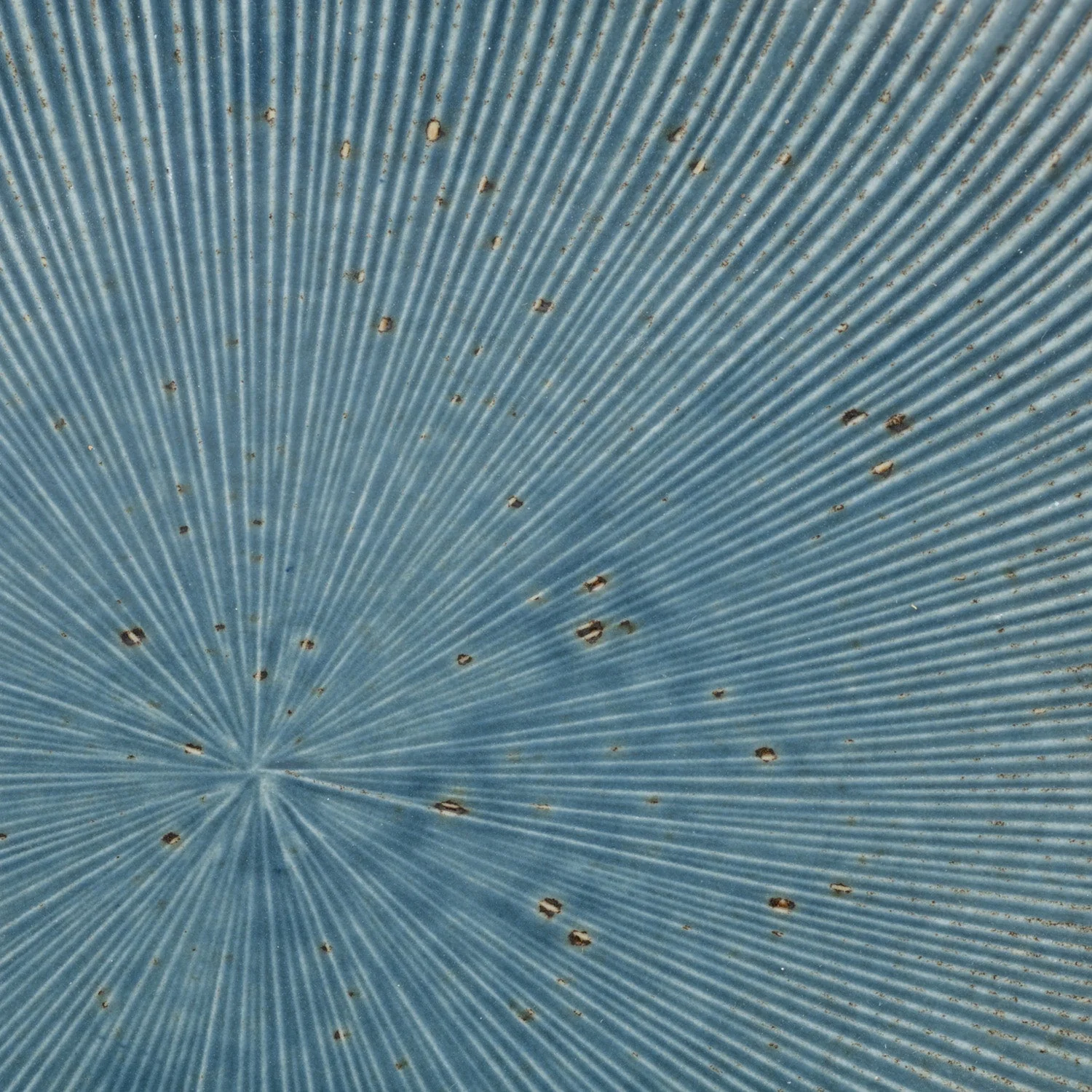 Blue Wabi Sabi Premium Large Japanese Serving Plate - Image 4