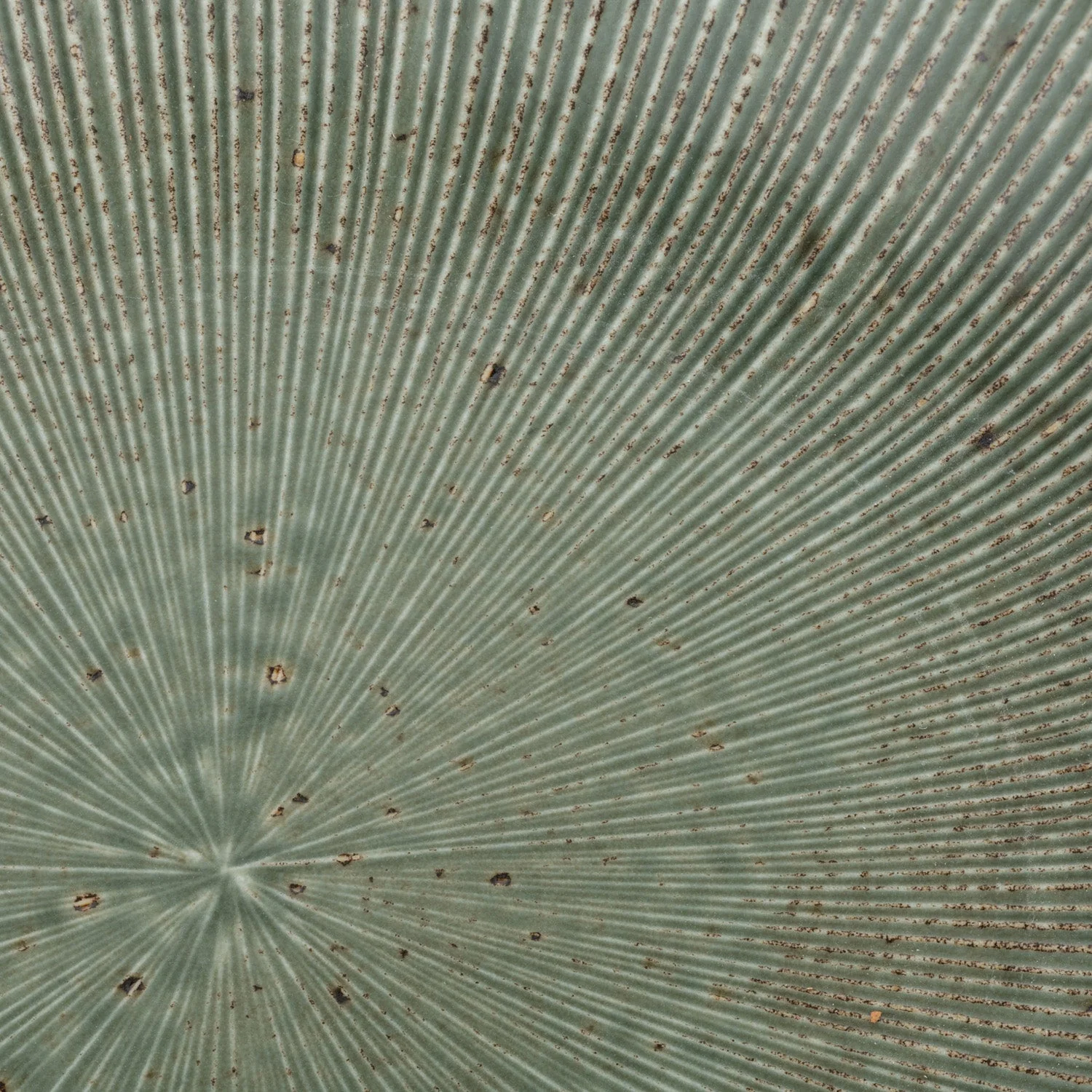 Green Wabi Sabi Premium Large Japanese Serving Plate - Image 4